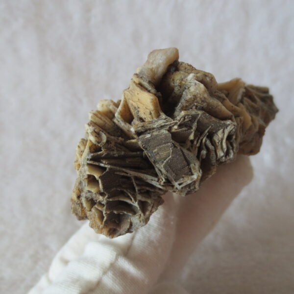 natural gobi skeleton stone (ji gu stone), boxwork ventifact, desert viewing stone (u17） (copy)