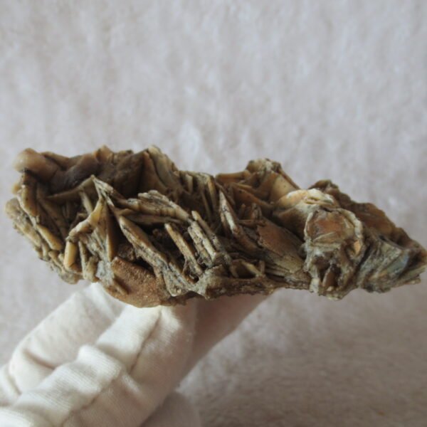 natural gobi skeleton stone (ji gu stone), boxwork ventifact, desert viewing stone (u17） (copy)