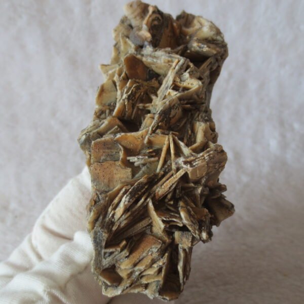 natural gobi skeleton stone (ji gu stone), boxwork ventifact, desert viewing stone (u17） (copy)