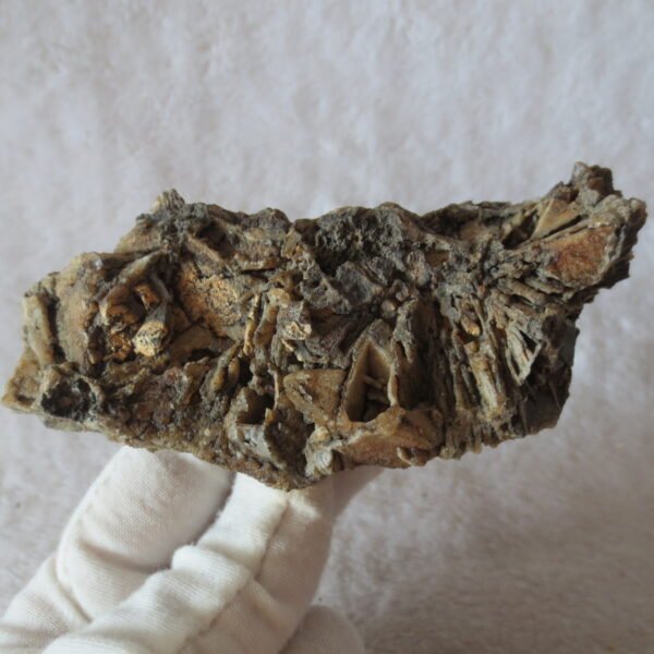 natural gobi skeleton stone (ji gu stone), boxwork ventifact, desert viewing stone (u17） (copy)