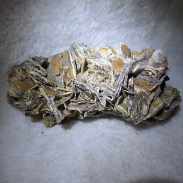natural gobi skeleton stone (ji gu stone), boxwork ventifact, desert viewing stone (u17） (copy)