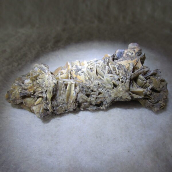 natural gobi skeleton stone (ji gu stone), boxwork ventifact, desert viewing stone (u17） (copy)