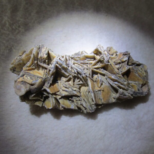 natural gobi skeleton stone (ji gu stone), boxwork ventifact, desert viewing stone (u17） (copy)