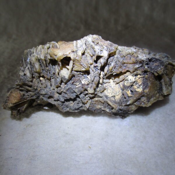 natural gobi skeleton stone (ji gu stone), boxwork ventifact, desert viewing stone (u17） (copy)