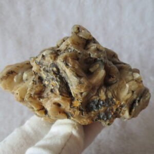 natural gobi skeleton stone (ji gu stone), boxwork ventifact, desert viewing stone (u20）