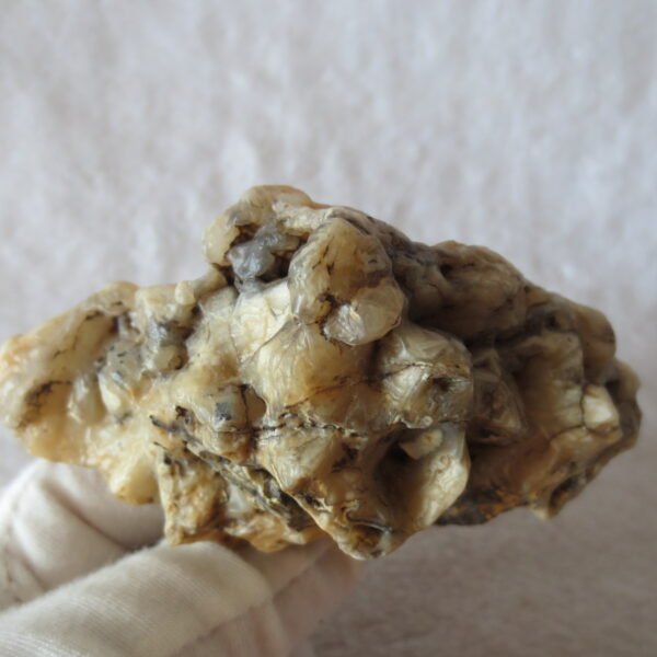 natural gobi skeleton stone (ji gu stone), boxwork ventifact, desert viewing stone (u20）