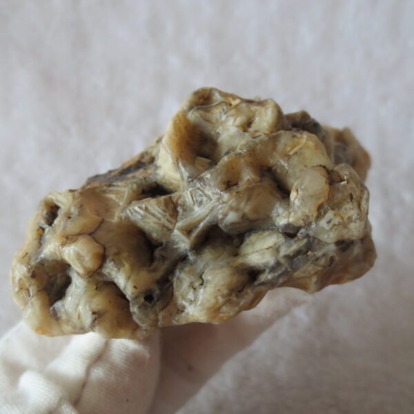 natural gobi skeleton stone (ji gu stone), boxwork ventifact, desert viewing stone (u20）