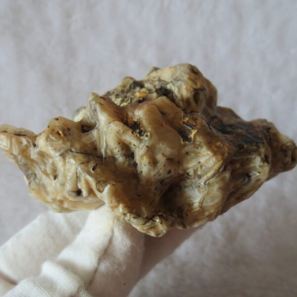 natural gobi skeleton stone (ji gu stone), boxwork ventifact, desert viewing stone (u20）