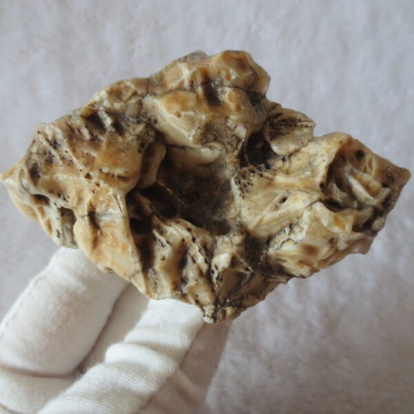 natural gobi skeleton stone (ji gu stone), boxwork ventifact, desert viewing stone (u20）