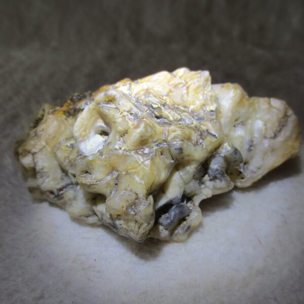 natural gobi skeleton stone (ji gu stone), boxwork ventifact, desert viewing stone (u20）