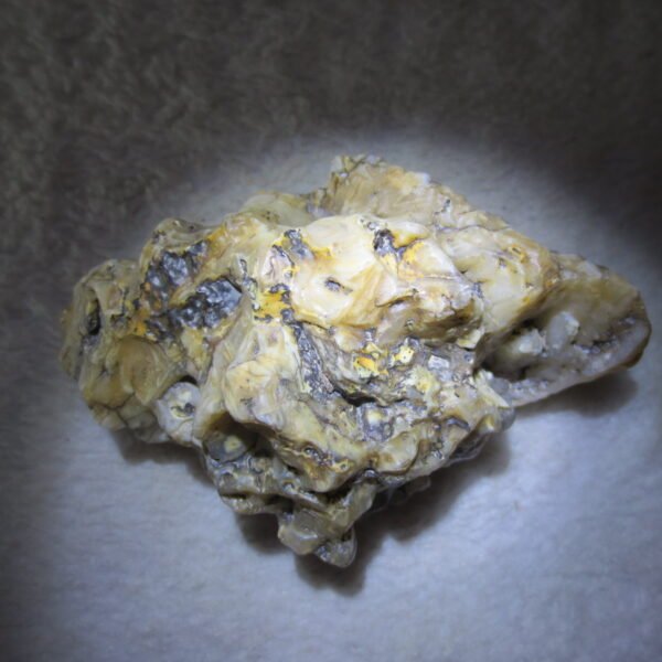 natural gobi skeleton stone (ji gu stone), boxwork ventifact, desert viewing stone (u20）