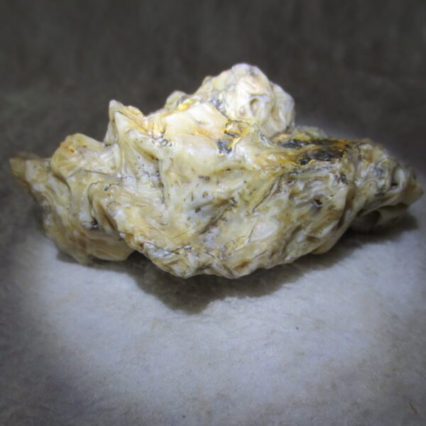 natural gobi skeleton stone (ji gu stone), boxwork ventifact, desert viewing stone (u20）