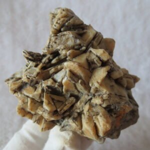 natural gobi skeleton stone (ji gu stone), boxwork ventifact, desert viewing stone (u21）