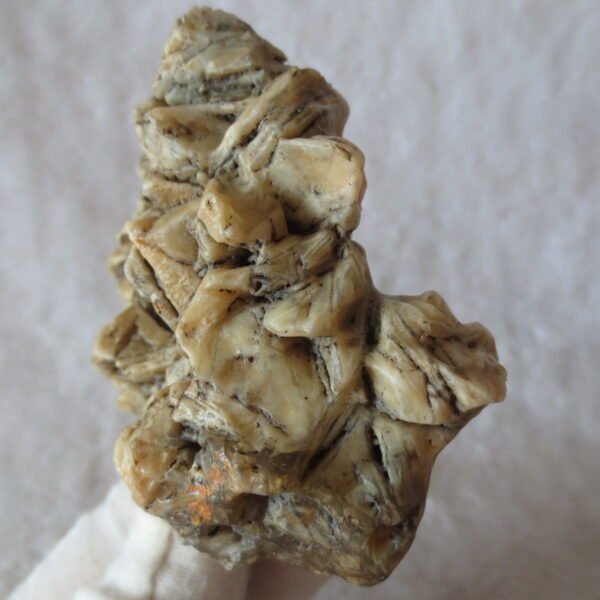 natural gobi skeleton stone (ji gu stone), boxwork ventifact, desert viewing stone (u21）