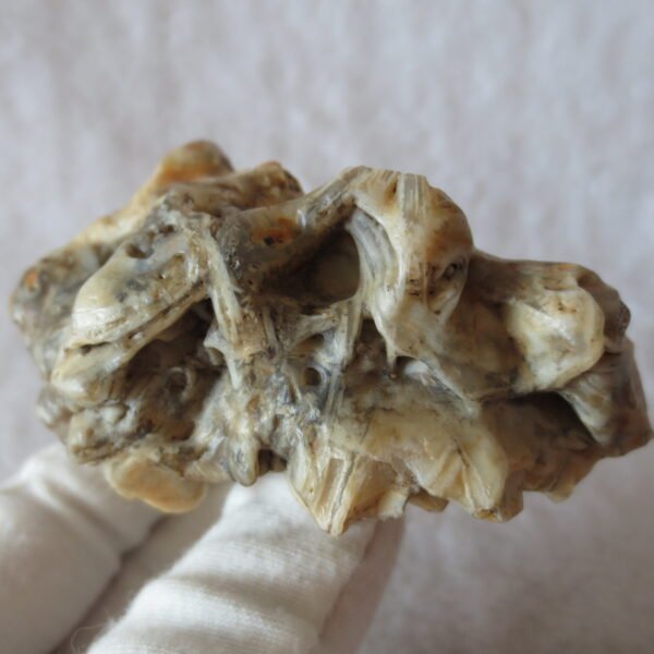 natural gobi skeleton stone (ji gu stone), boxwork ventifact, desert viewing stone (u21）