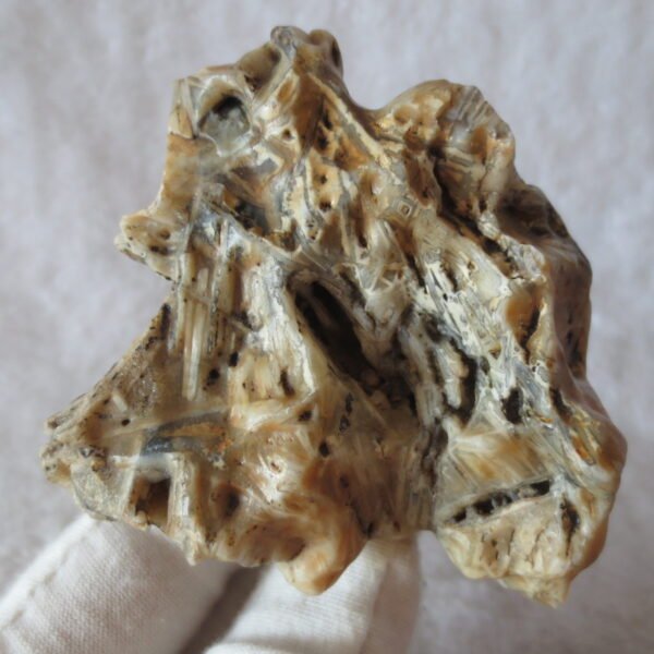natural gobi skeleton stone (ji gu stone), boxwork ventifact, desert viewing stone (u21）