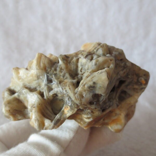 natural gobi skeleton stone (ji gu stone), boxwork ventifact, desert viewing stone (u21）