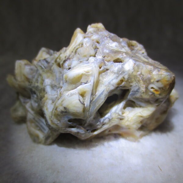 natural gobi skeleton stone (ji gu stone), boxwork ventifact, desert viewing stone (u21）