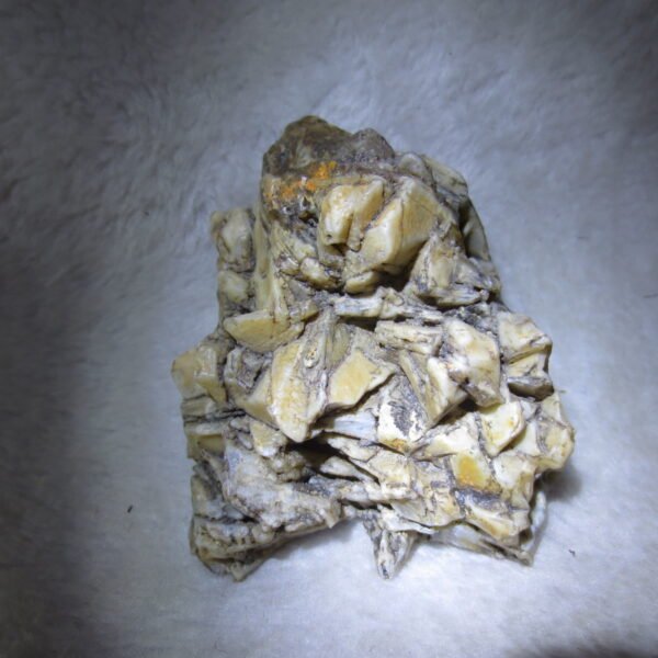 natural gobi skeleton stone (ji gu stone), boxwork ventifact, desert viewing stone (u21）