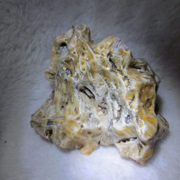 natural gobi skeleton stone (ji gu stone), boxwork ventifact, desert viewing stone (u21）