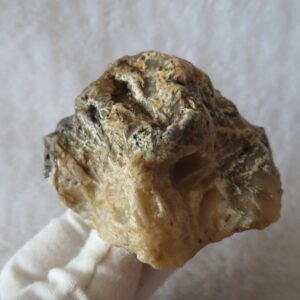 natural gobi skeleton stone (ji gu stone), boxwork ventifact, desert viewing stone (u22）