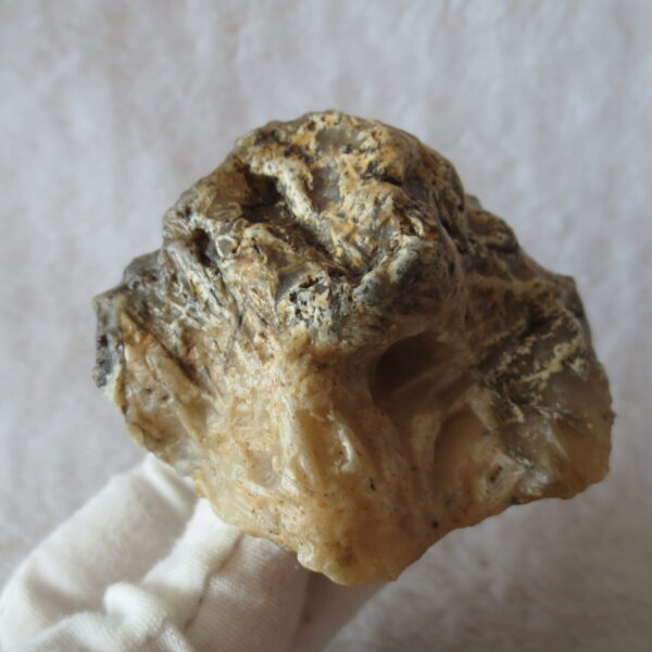 natural gobi skeleton stone (ji gu stone), boxwork ventifact, desert viewing stone (u22)
