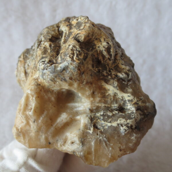 natural gobi skeleton stone (ji gu stone), boxwork ventifact, desert viewing stone (u22)