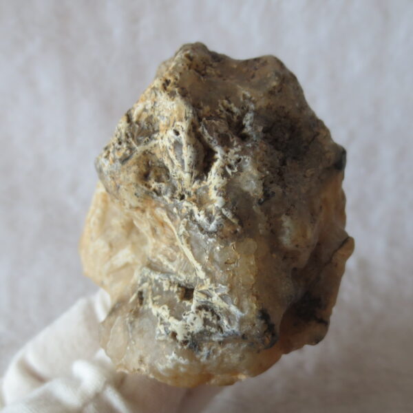 natural gobi skeleton stone (ji gu stone), boxwork ventifact, desert viewing stone (u22)