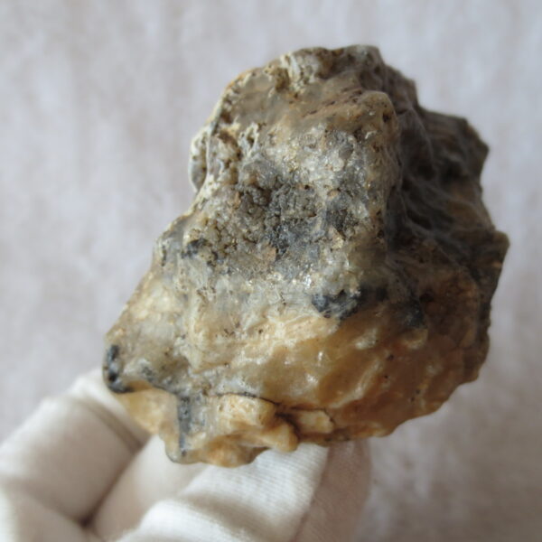 natural gobi skeleton stone (ji gu stone), boxwork ventifact, desert viewing stone (u22)