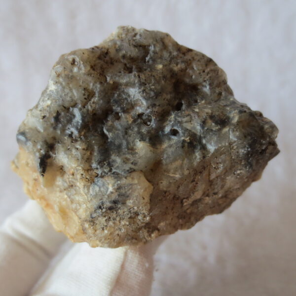 natural gobi skeleton stone (ji gu stone), boxwork ventifact, desert viewing stone (u22)