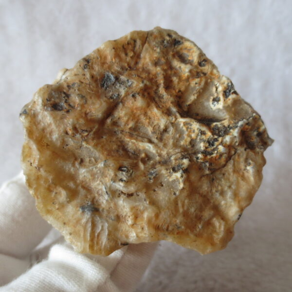 natural gobi skeleton stone (ji gu stone), boxwork ventifact, desert viewing stone (u22)