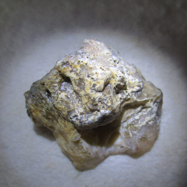 natural gobi skeleton stone (ji gu stone), boxwork ventifact, desert viewing stone (u22)