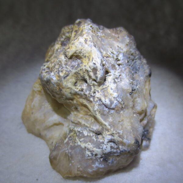 natural gobi skeleton stone (ji gu stone), boxwork ventifact, desert viewing stone (u22)