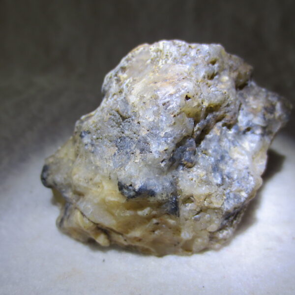 natural gobi skeleton stone (ji gu stone), boxwork ventifact, desert viewing stone (u22)