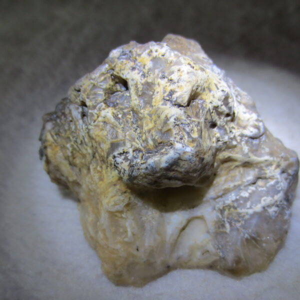 natural gobi skeleton stone (ji gu stone), boxwork ventifact, desert viewing stone (u22)