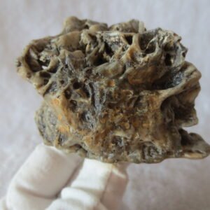 natural gobi skeleton stone (ji gu stone), boxwork ventifact, desert viewing stone (u23）