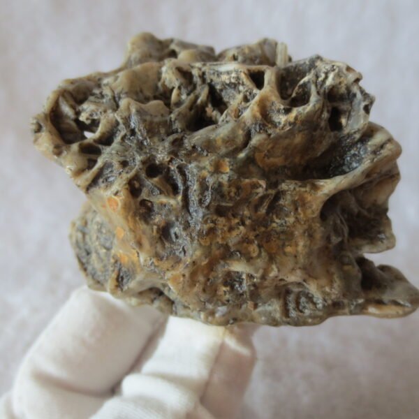 natural gobi skeleton stone (ji gu stone), boxwork ventifact, desert viewing stone (u23）