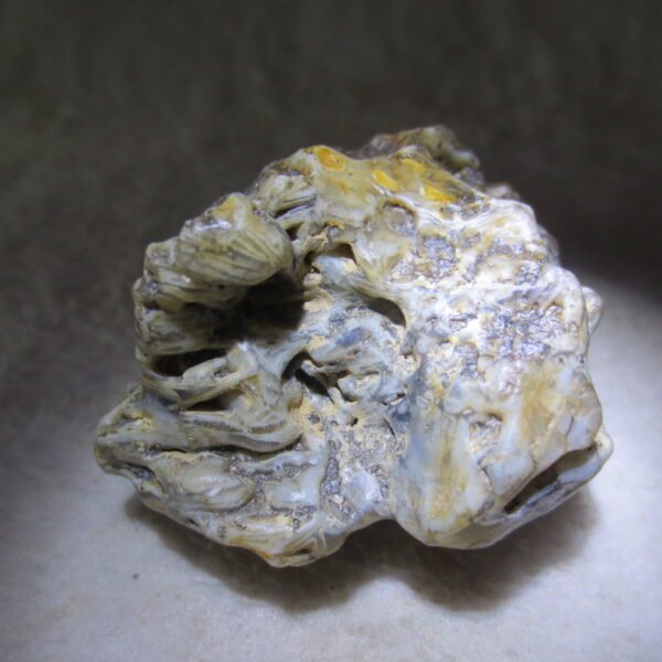 natural gobi skeleton stone (ji gu stone), boxwork ventifact, desert viewing stone (u23）