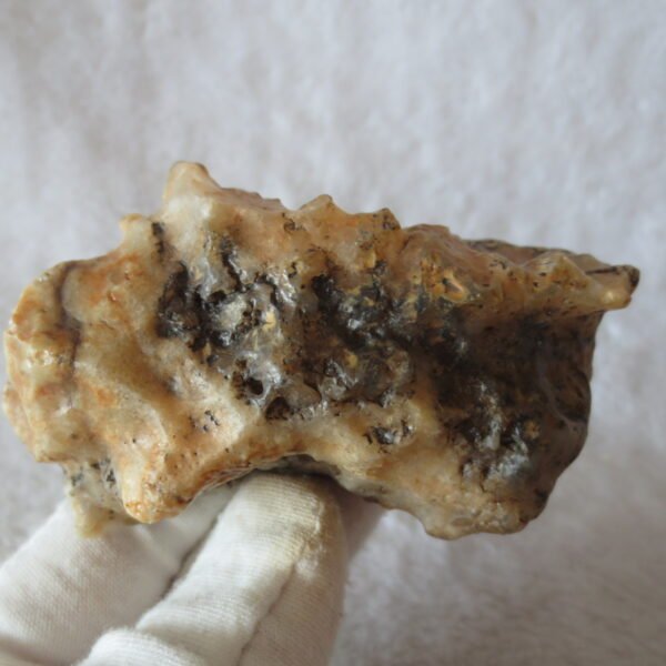 natural gobi skeleton stone (ji gu stone), boxwork ventifact, desert viewing stone (u24）