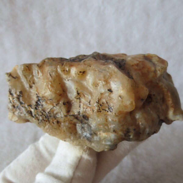 natural gobi skeleton stone (ji gu stone), boxwork ventifact, desert viewing stone (u24）