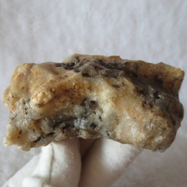 natural gobi skeleton stone (ji gu stone), boxwork ventifact, desert viewing stone (u24）