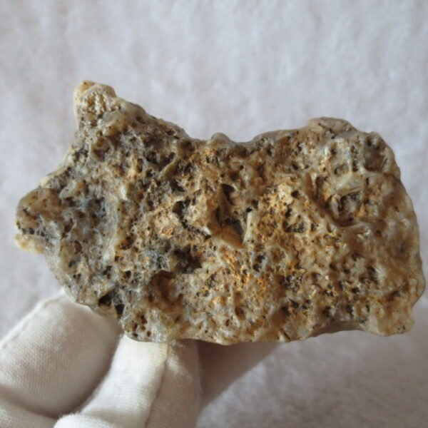 natural gobi skeleton stone (ji gu stone), boxwork ventifact, desert viewing stone (u24）
