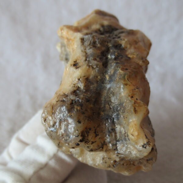 natural gobi skeleton stone (ji gu stone), boxwork ventifact, desert viewing stone (u24）