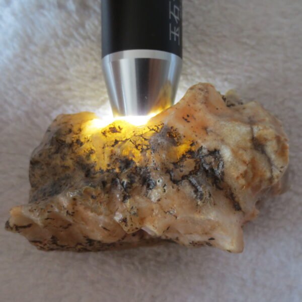 natural gobi skeleton stone (ji gu stone), boxwork ventifact, desert viewing stone (u24）