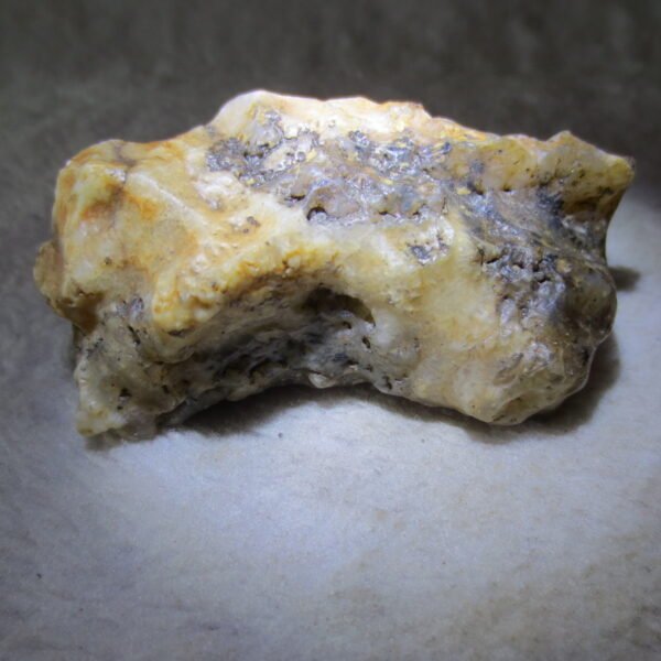 natural gobi skeleton stone (ji gu stone), boxwork ventifact, desert viewing stone (u24）