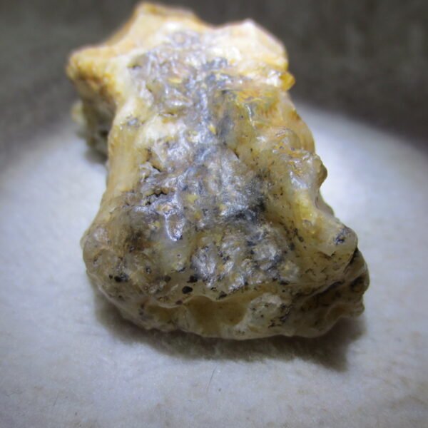 natural gobi skeleton stone (ji gu stone), boxwork ventifact, desert viewing stone (u24）