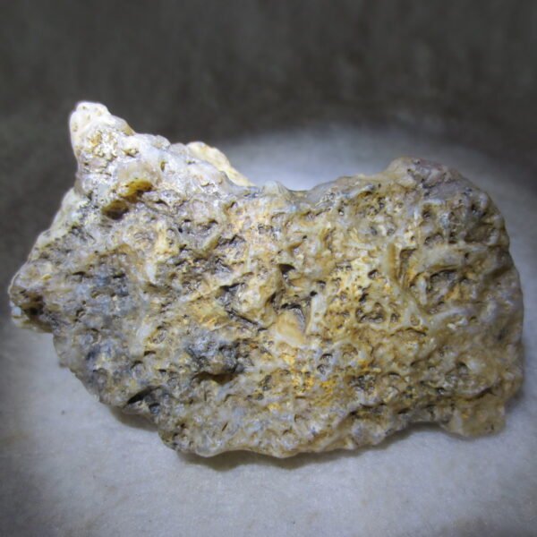 natural gobi skeleton stone (ji gu stone), boxwork ventifact, desert viewing stone (u24）