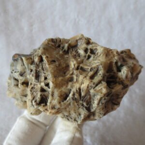 natural gobi skeleton stone (ji gu stone), boxwork ventifact, desert viewing stone (u25）