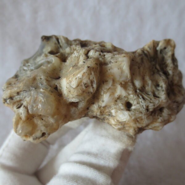 natural gobi skeleton stone (ji gu stone), boxwork ventifact, desert viewing stone (u25）