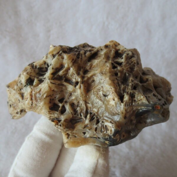 natural gobi skeleton stone (ji gu stone), boxwork ventifact, desert viewing stone (u25）